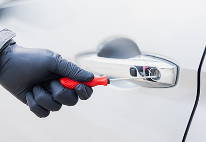 Car Theft is Rising - Pulse